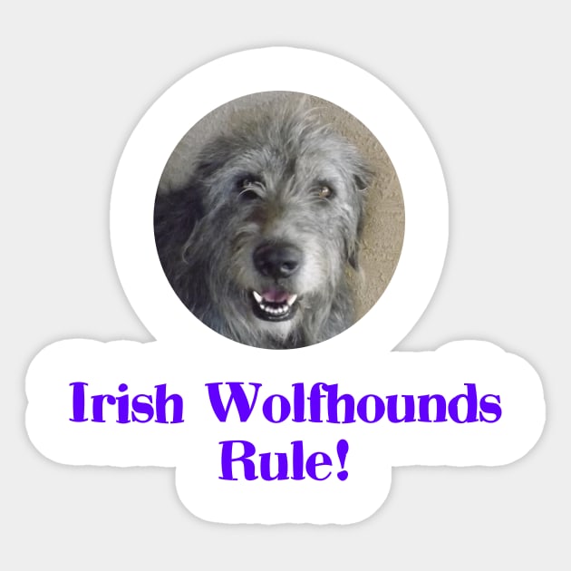 Irish Wolfhounds Rule! Sticker by Naves